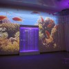 Проекционный дизайн "Виртуальная реальность" базовый комплект 500 анимаций - «globural.ru» - Йошкар-Ола