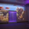 Проекционный дизайн "Виртуальная реальность" безлимитный комплект 1200 анимаций - «globural.ru» - Йошкар-Ола