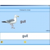 Английский язык. Освоение клавиатуры - «globural.ru» - Йошкар-Ола