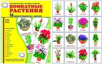 Демонстрационные карточки "Комнатные растения" - «globural.ru» - Йошкар-Ола