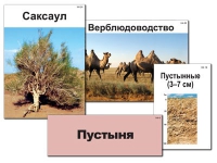 Модель-аппликация "Природные зоны России" - «globural.ru» - Йошкар-Ола