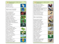 Комплект карточек (10) "Обучающий калейдоскоп. Природа" - «globural.ru» - Йошкар-Ола