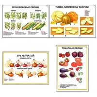 Плакаты ПРОФТЕХ "Ассортимент овощных культур" (12 пл, винил, 70х100) - «globural.ru» - Йошкар-Ола