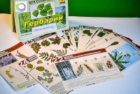 Гербарий к курсу основ общей биологии - «globural.ru» - Йошкар-Ола