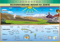 Таблица Возникновение жизни на Земле 1000*1400 винил - «globural.ru» - Йошкар-Ола