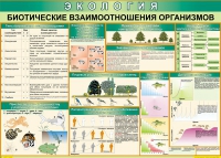 Таблица Биотические взаимоотношения организмов 1000*700 (винил) - «globural.ru» - Йошкар-Ола