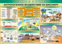Таблица Антропогенное воздействие на биосферу 1000*700 винил - «globural.ru» - Йошкар-Ола