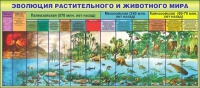 Стенд "Эволюция растительного и животного мира" - «globural.ru» - Йошкар-Ола
