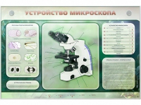 Электрифицированный стенд "Устройство микроскопа и правила работы c ним" - «globural.ru» - Йошкар-Ола