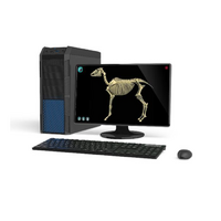 Макет масштабный «Скелет Лошади» Масштаб 1:2 - «globural.ru» - Йошкар-Ола