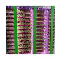 Вертикальная ферма "Моя Микрозелень" комплектация Школьная - «globural.ru» - Йошкар-Ола