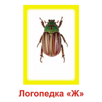 Логопедка "Ж" (логопедические карточки) - «globural.ru» - Йошкар-Ола