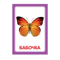 Логопедка "Ч" (логопедические карточки) - «globural.ru» - Йошкар-Ола