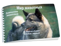 Пособие для слабовидящих "Домашние животные" - «globural.ru» - Йошкар-Ола