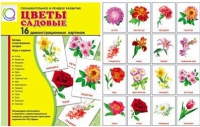 Демонстрационные карточки "Цветы садовые" - «globural.ru» - Йошкар-Ола