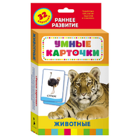 Карточки Домана "Животные" - «globural.ru» - Йошкар-Ола