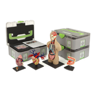 Учебный набор "Анатомия в деталях" - «globural.ru» - Йошкар-Ола