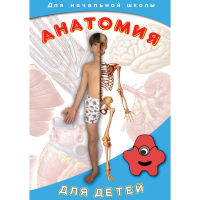 DVD  Анатомия для детей - «globural.ru» - Йошкар-Ола