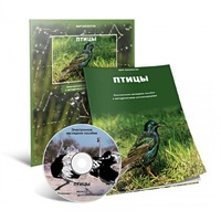 Электронное наглядное пособие «Птицы» - «globural.ru» - Йошкар-Ола