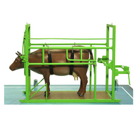 Наглядный макет «Методы и устройства для фиксации КРС» - «globural.ru» - Йошкар-Ола