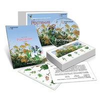 Комбинированное наглядное пособие «Растения» - «globural.ru» - Йошкар-Ола