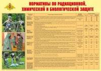 Плакат "Нормативы по радиационной, химической и биологической защите" - «globural.ru» - Йошкар-Ола