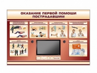 Многофункциональный интерактивный стенд-тренажер "Оказание первой помощи пострадавшим" для учащихся общеобразовательных учреждений - «globural.ru» - Йошкар-Ола
