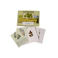 Гербарий "Деревья и кустарники" (22 вида, с иллюстрациями) - «globural.ru» - Йошкар-Ола