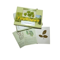 Гербарий "Дикорастущие растения" (30 видов, с иллюстрациями) - «globural.ru» - Йошкар-Ола