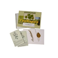 Гербарий "Лекарственные растения" (22 вида, с иллюстрациями) - «globural.ru» - Йошкар-Ола