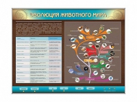 Интерактивный электрифицированный стенд "Эволюция животного мира" - «globural.ru» - Йошкар-Ола