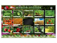 Комплект оборудования "Живой уголок" (растения) - «globural.ru» - Йошкар-Ола