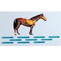 Стенд-планшет светодинамический "Изучение кровеносной системы сельскохозяйственных животных" со сменными панелями - «globural.ru» - Йошкар-Ола