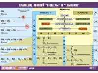 Таблица демонстрационная "Сравнение понятий изомер и гомолог" (винил 100х140) - «globural.ru» - Йошкар-Ола