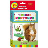 Карточки Домана "В лесу" - «globural.ru» - Йошкар-Ола
