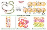 Плакаты и таблицы по общей химии - «globural.ru» - Йошкар-Ола