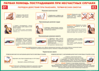 Таблица Порядок действий при ранениях и термических ожогах	 1000*1400 винил - «globural.ru» - Йошкар-Ола