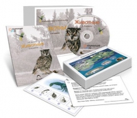 Комбинированное наглядное пособие «Животные» - «globural.ru» - Йошкар-Ола