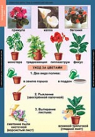 Окружающий мир 1 класс (комплект таблиц) - «globural.ru» - Йошкар-Ола