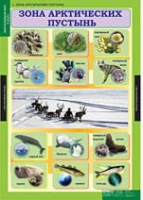 Окружающий мир 4 класс (комплект таблиц) - «globural.ru» - Йошкар-Ола