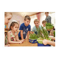Обучающий комплект экологической направленности "Сити-фермер 2.0 Детский сад" 30 человек - «globural.ru» - Йошкар-Ола