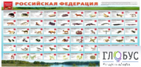 Стенд "Красная книга РФ" - «globural.ru» - Йошкар-Ола