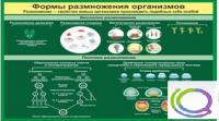 Стенд "Формы размножения организмов" - «globural.ru» - Йошкар-Ола