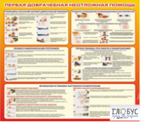 Стенд "Первая доврачебная неотложная помощь" - «globural.ru» - Йошкар-Ола