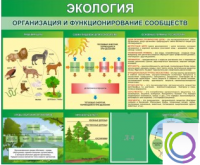 Стенд "Экология. Организация и функционирование сообществ" - «globural.ru» - Йошкар-Ола