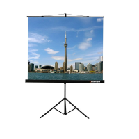 Проекционный экран на штативе Lumien Eco View (LEV-100105) 160x160 см - «globural.ru» - Йошкар-Ола