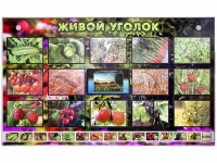 Комплект оборудования "Живой уголок" (растения) с тифлопереводом и сурдокомментариями - «globural.ru» - Йошкар-Ола