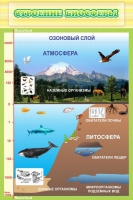 Стенд "Строение биосферы" - «globural.ru» - Йошкар-Ола
