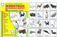 Демонстрационные карточки "Животные холодных широт" - «globural.ru» - Йошкар-Ола