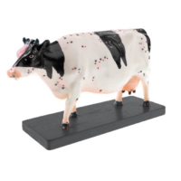 Электрифицированный макет коровы на каркасе - «globural.ru» - Йошкар-Ола